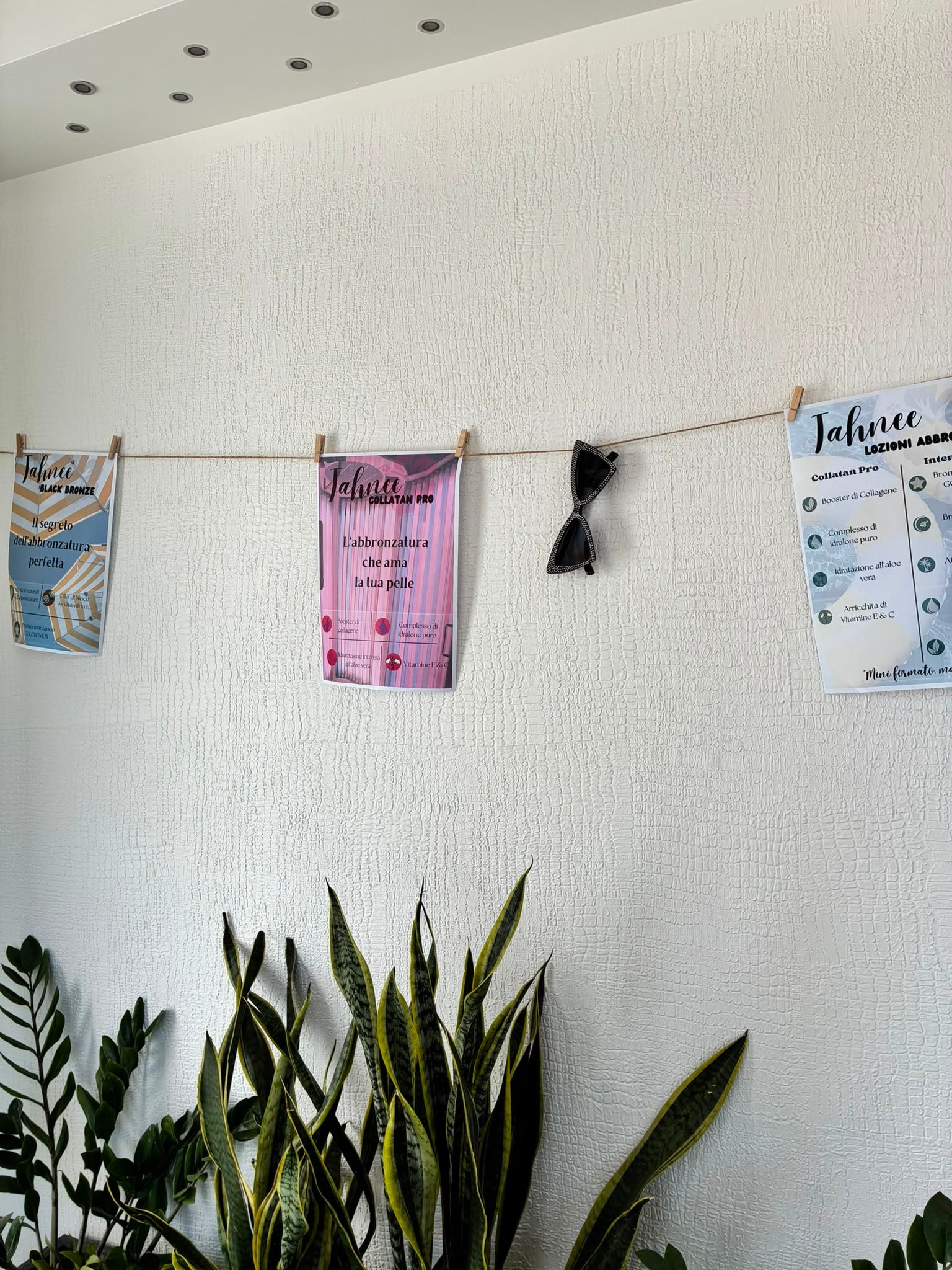 I poster della linea Tahnee appesi alla parete, sopra le piante del centro